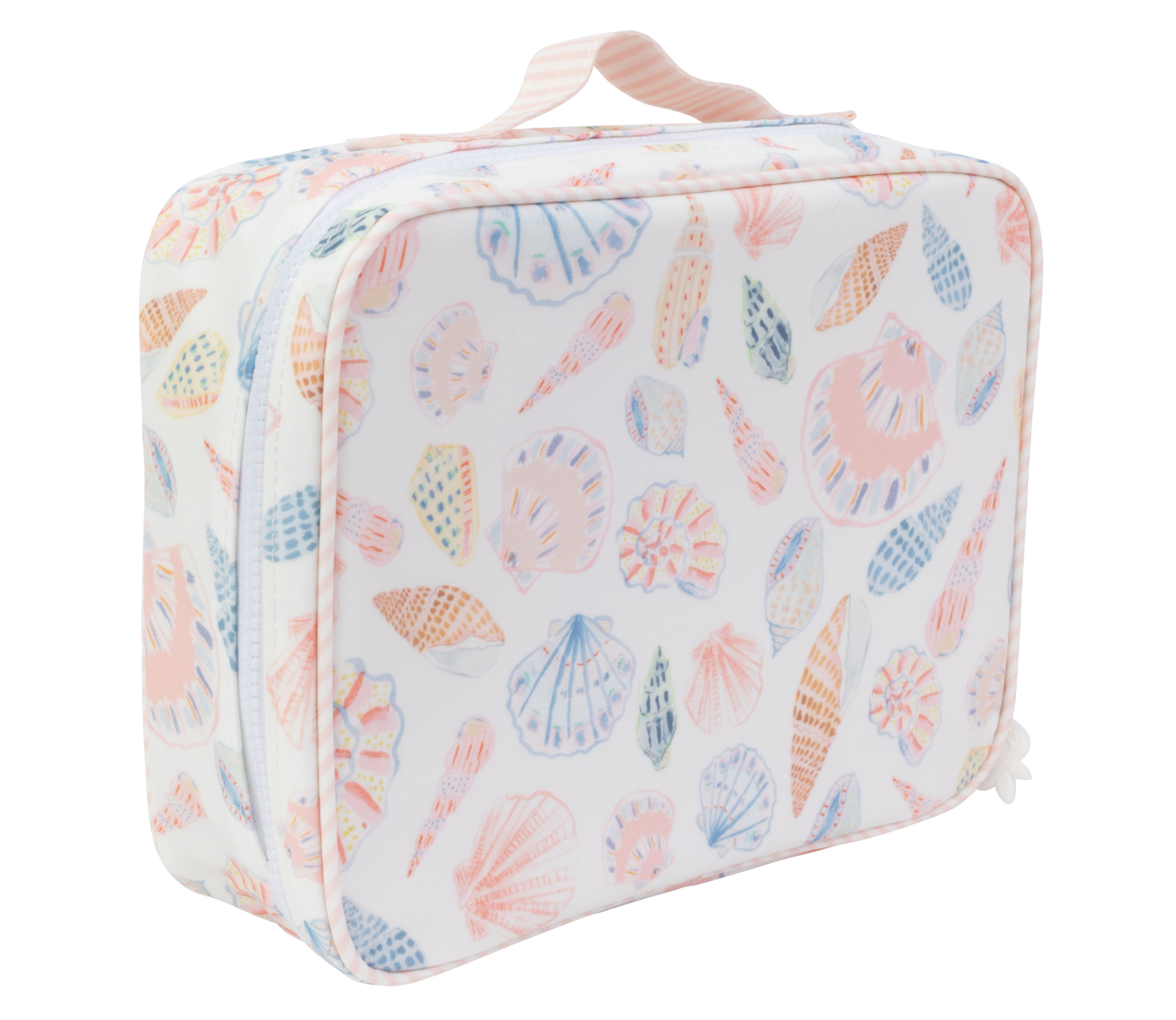 The Lunchbox in Shells